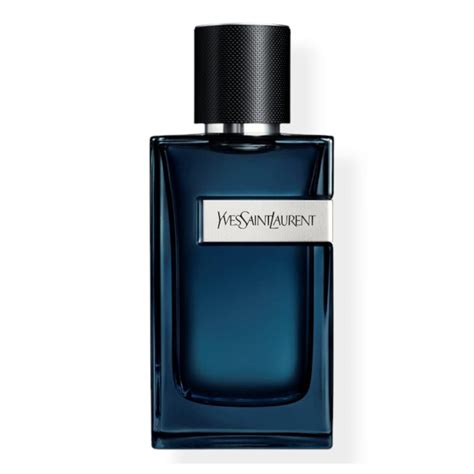 ysl parisienne intense|ysl y edp fragrantica.